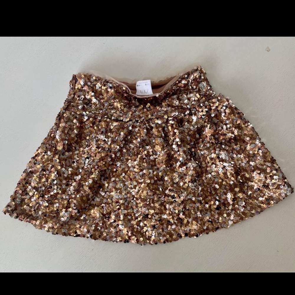 Zara Sequin Skirt